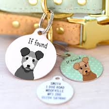 The Best Pet ID Tags & Personalized Dog Tags